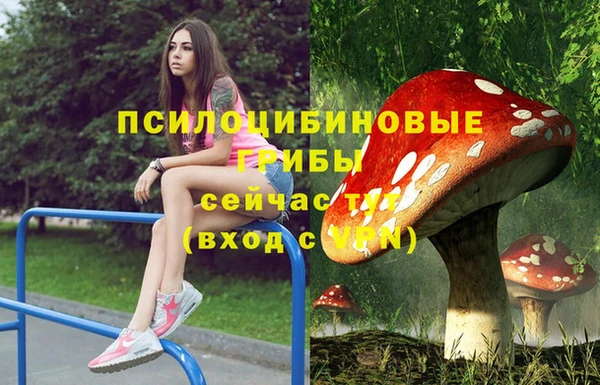 хмурый Наволоки