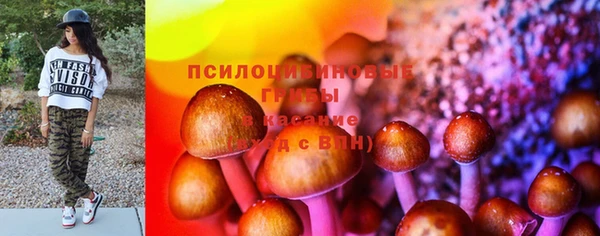 mix Надым