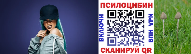 Псилоцибиновые грибы Magic Shrooms Горячеводский